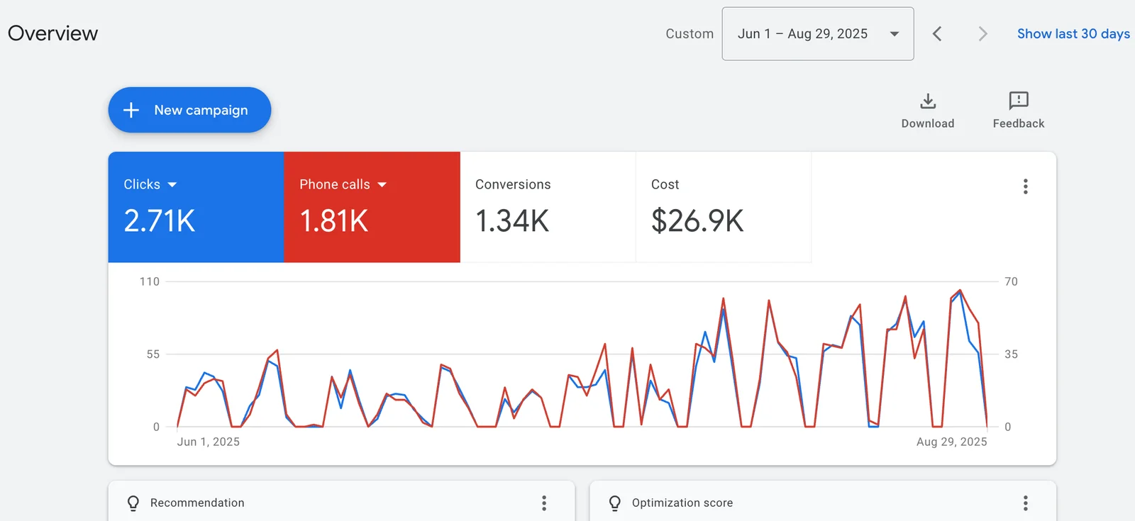 Google Ads dashboard proof